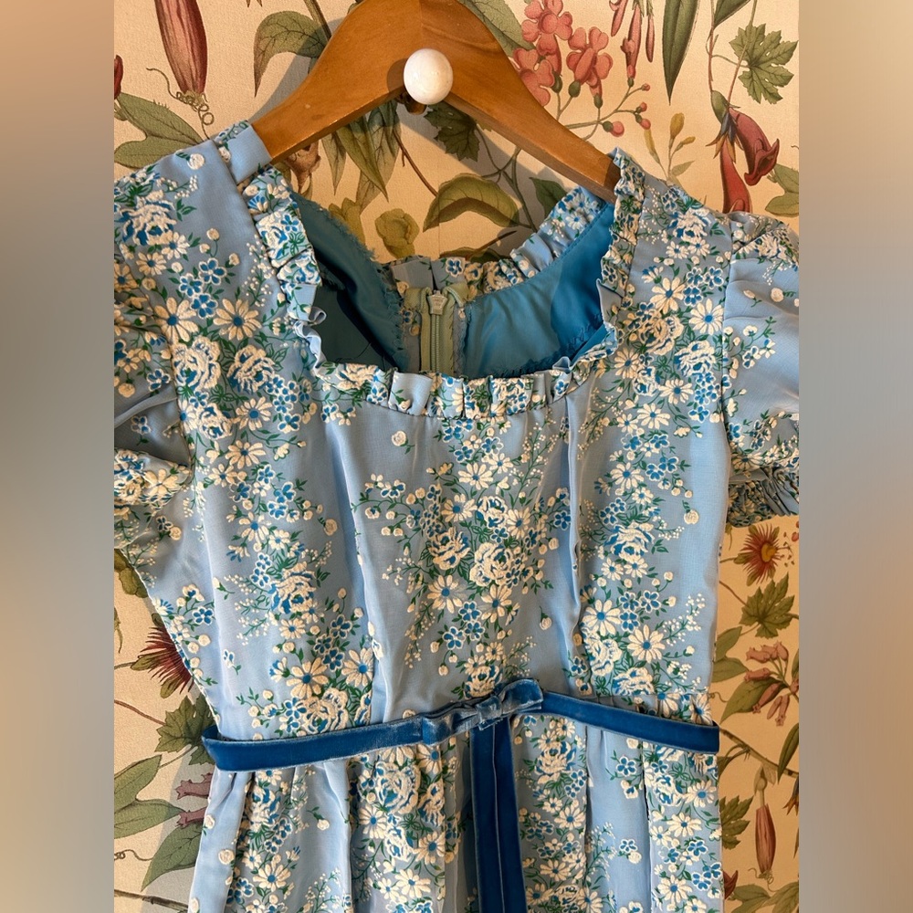 Vintage Baby breath Dress - Picture 7 of 7
